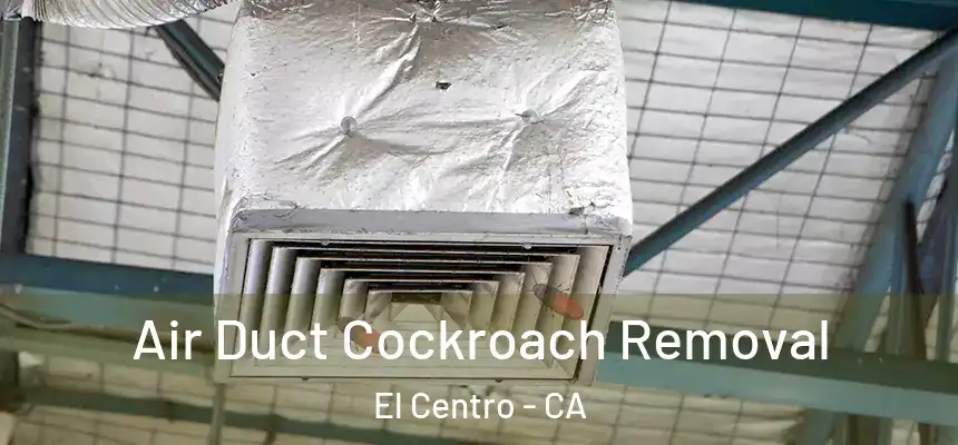 Air Duct Cockroach Removal El Centro - CA