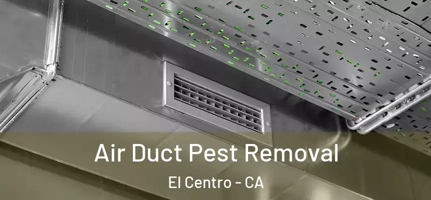  Air Duct Pest Removal El Centro - CA