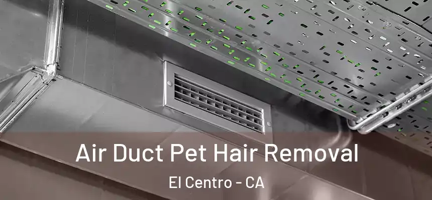  Air Duct Pet Hair Removal El Centro - CA