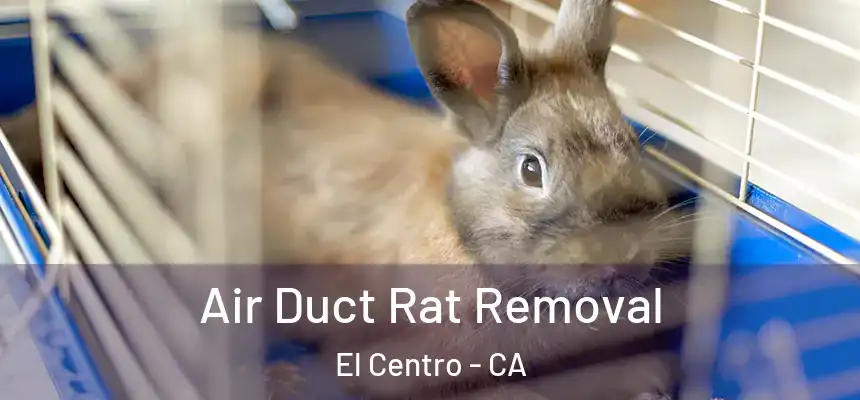  Air Duct Rat Removal El Centro - CA
