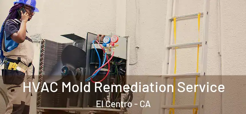 HVAC Mold Remediation Service El Centro - CA