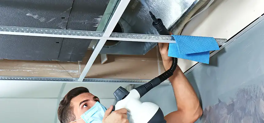 Our Air Duct Rodent Removal Services in El Centro, CA