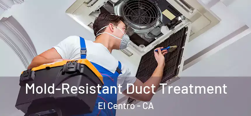  Mold-Resistant Duct Treatment El Centro - CA