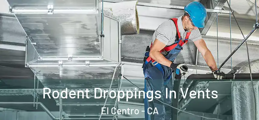  Rodent Droppings In Vents El Centro - CA