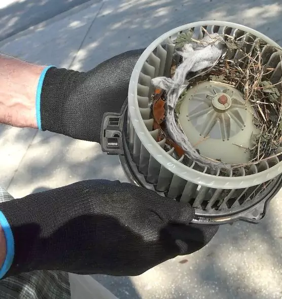 About Air Duct Rat Removal in El Centro, CA