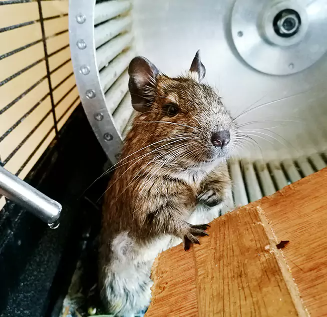 Why Homeowners & Businesses Trust Us El Centro, CA