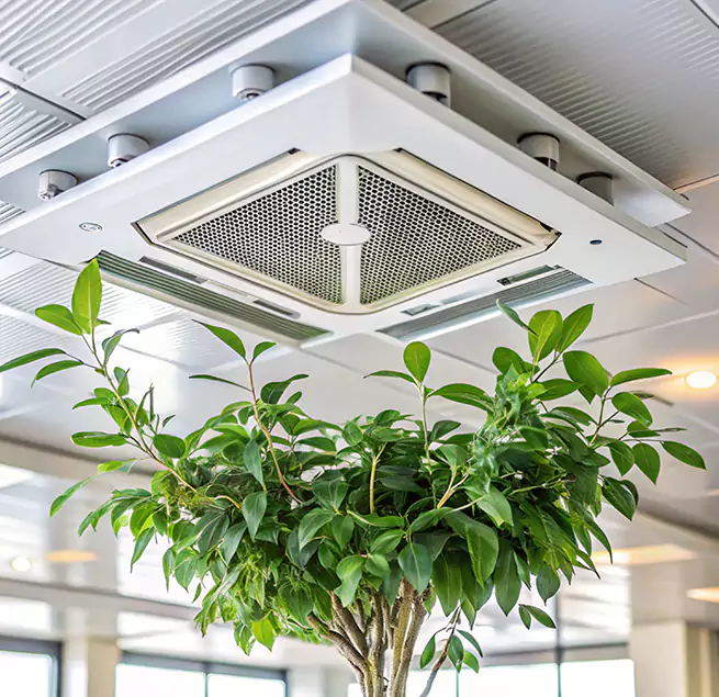 Why Homeowners & Businesses Trust Us in El Centro, CA?